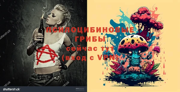 дживик Михайловск