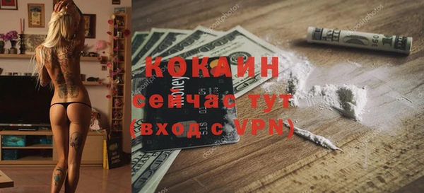 дживик Михайловск