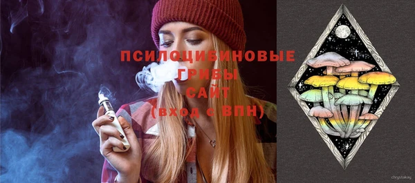 а пвп мука Анжеро-Судженск