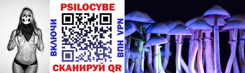 Галлюциногенные грибы Psilocybe  магазин продажи наркотиков  Щёкино 